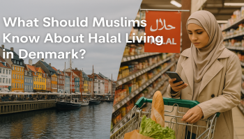 What Should Muslims Know About Halal Living In Denmark?