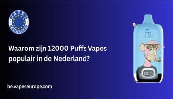 Waarom Zijn 12000 Puffs Vapes Populair In Alle Nederland?