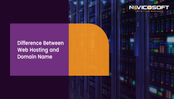 Difference Between Web Hosting And Domain Name 