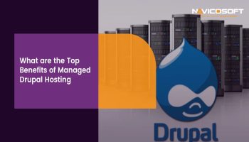 Benefits Of Managed Drupal Hosting
